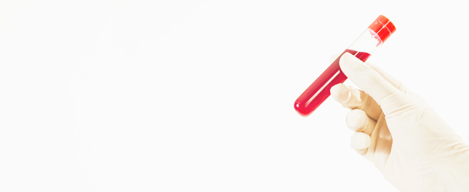 Qual a importância do sangue para o sistema de defesa do corpo?