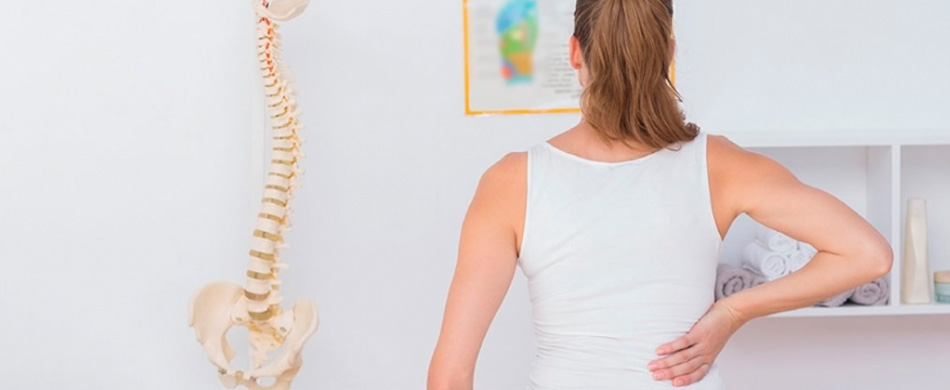 Coluna a sustentação do corpo!