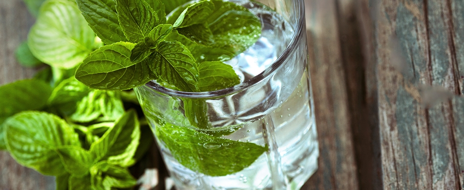 Ingredientes excelentes para o sistema respiratório