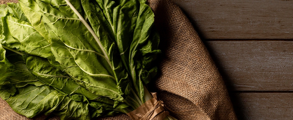 Conheça 5 verduras ricas em cálcio
