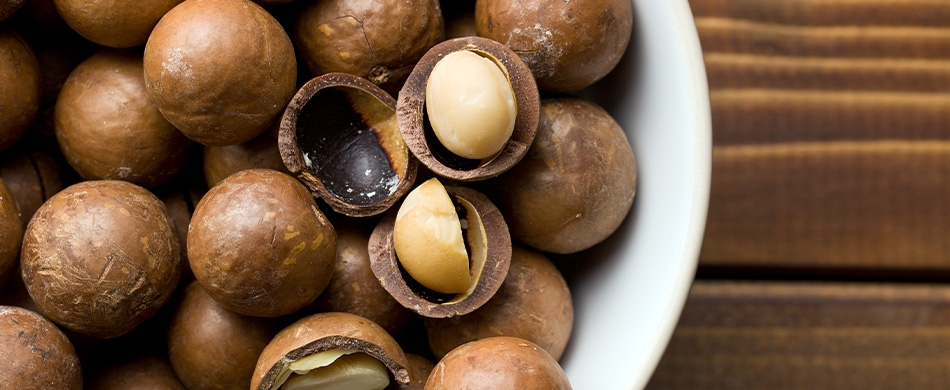 Os benefícios da macadâmia