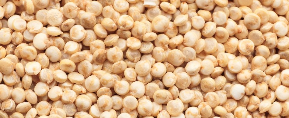 Benefícios da quinoa