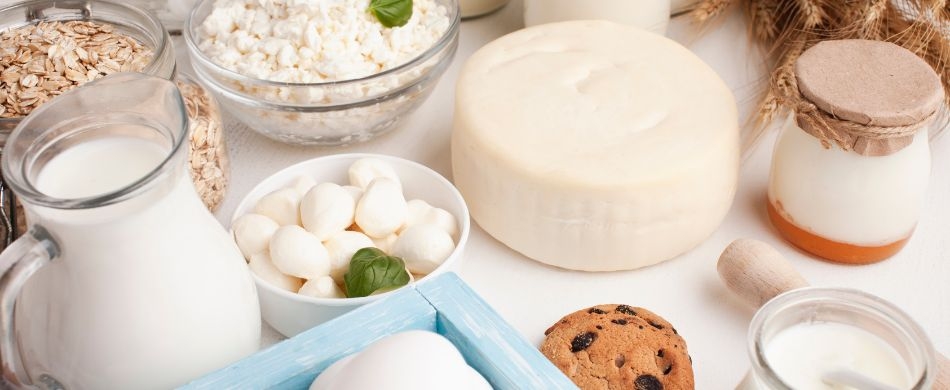 Prevenção da Osteoporose através da alimentação
