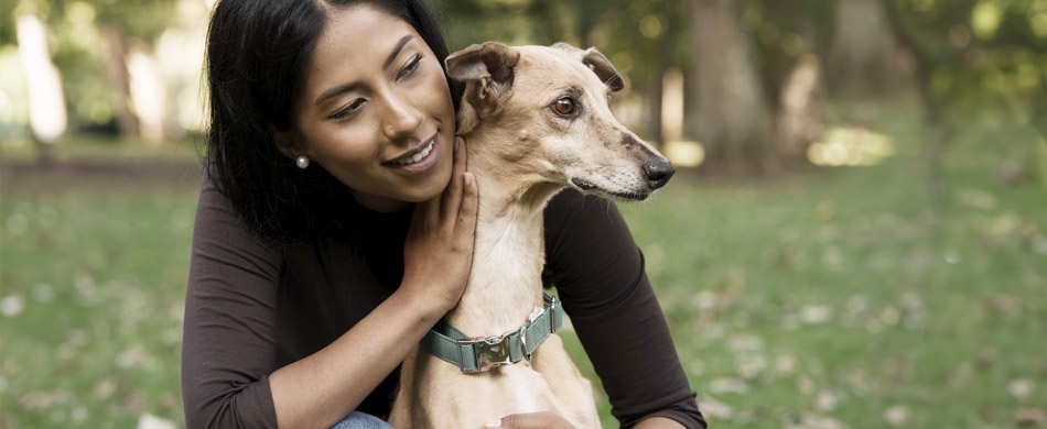 Benefícios dos animais para a saúde mental