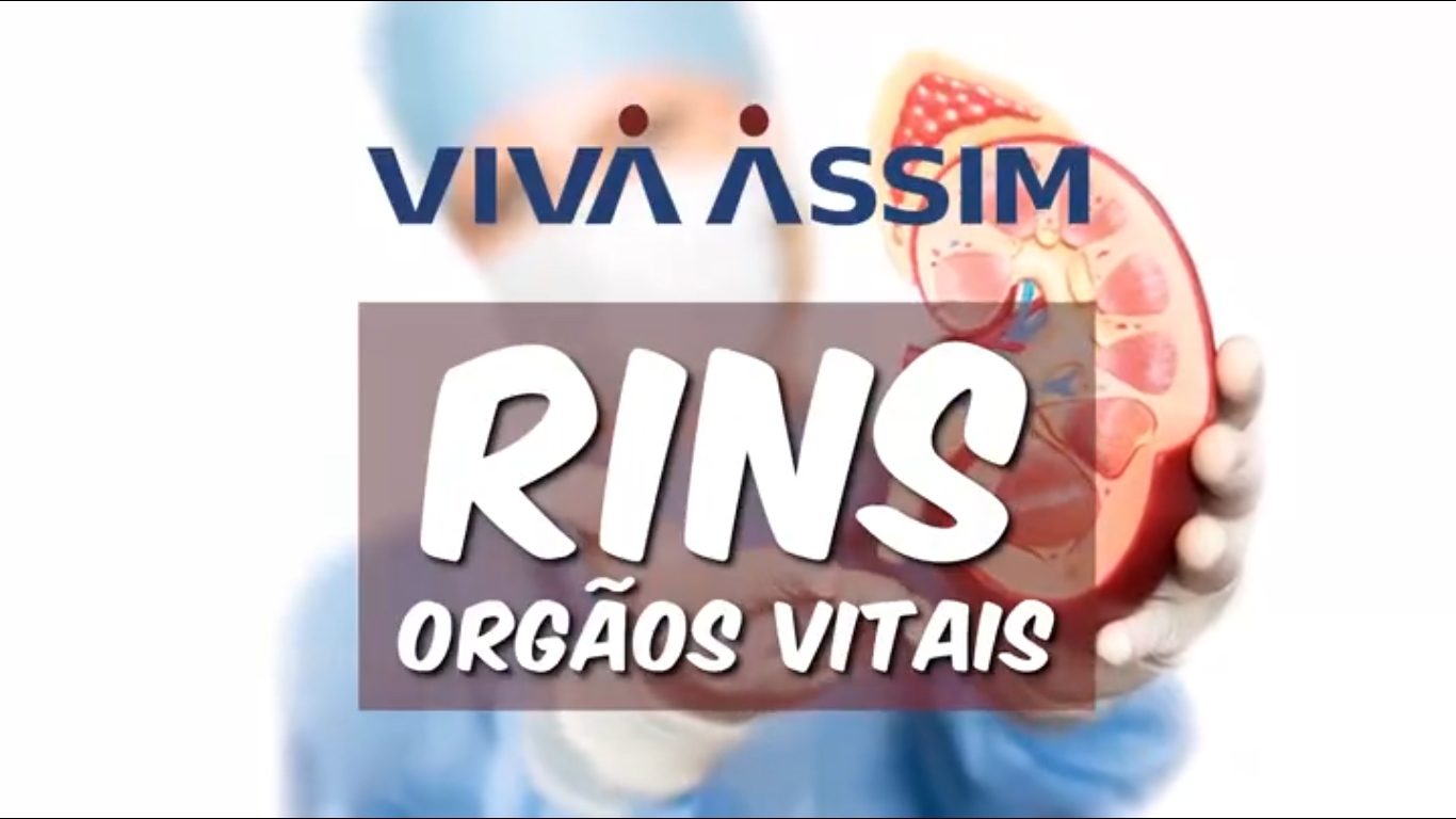 Rins: Órgãos Vitais