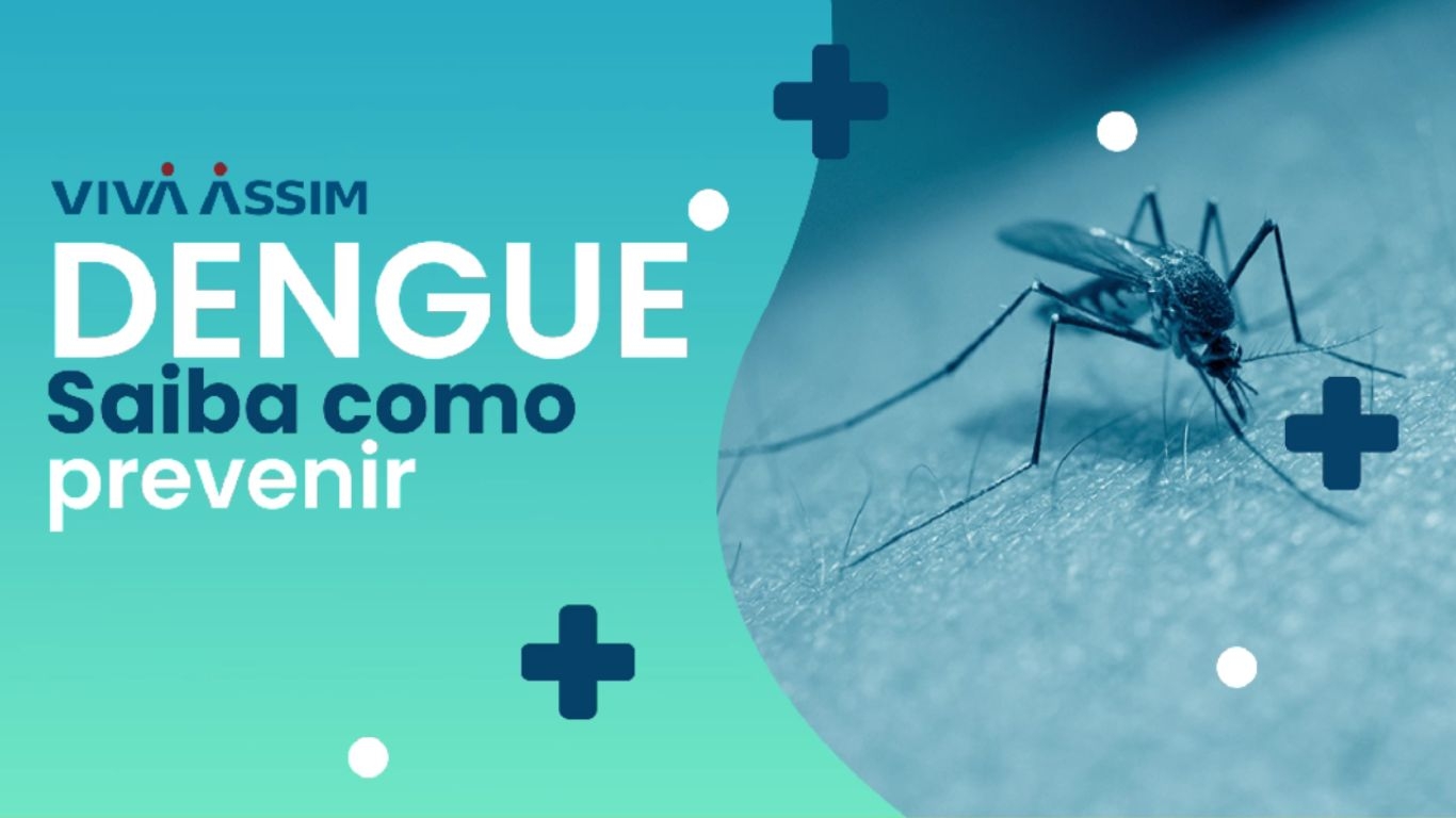 Dengue: Saiba como prevenir